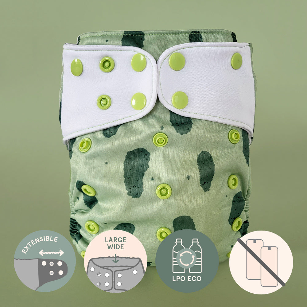 Pocket diaper • Evolution