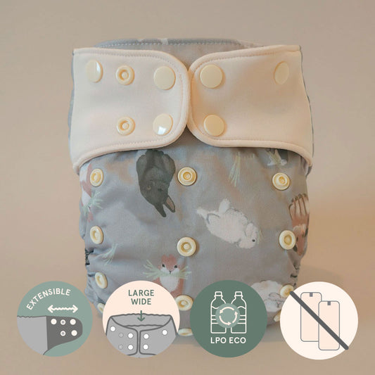 Couche à poche • Évolution