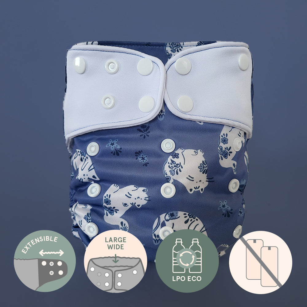 Pocket diaper • Evolution