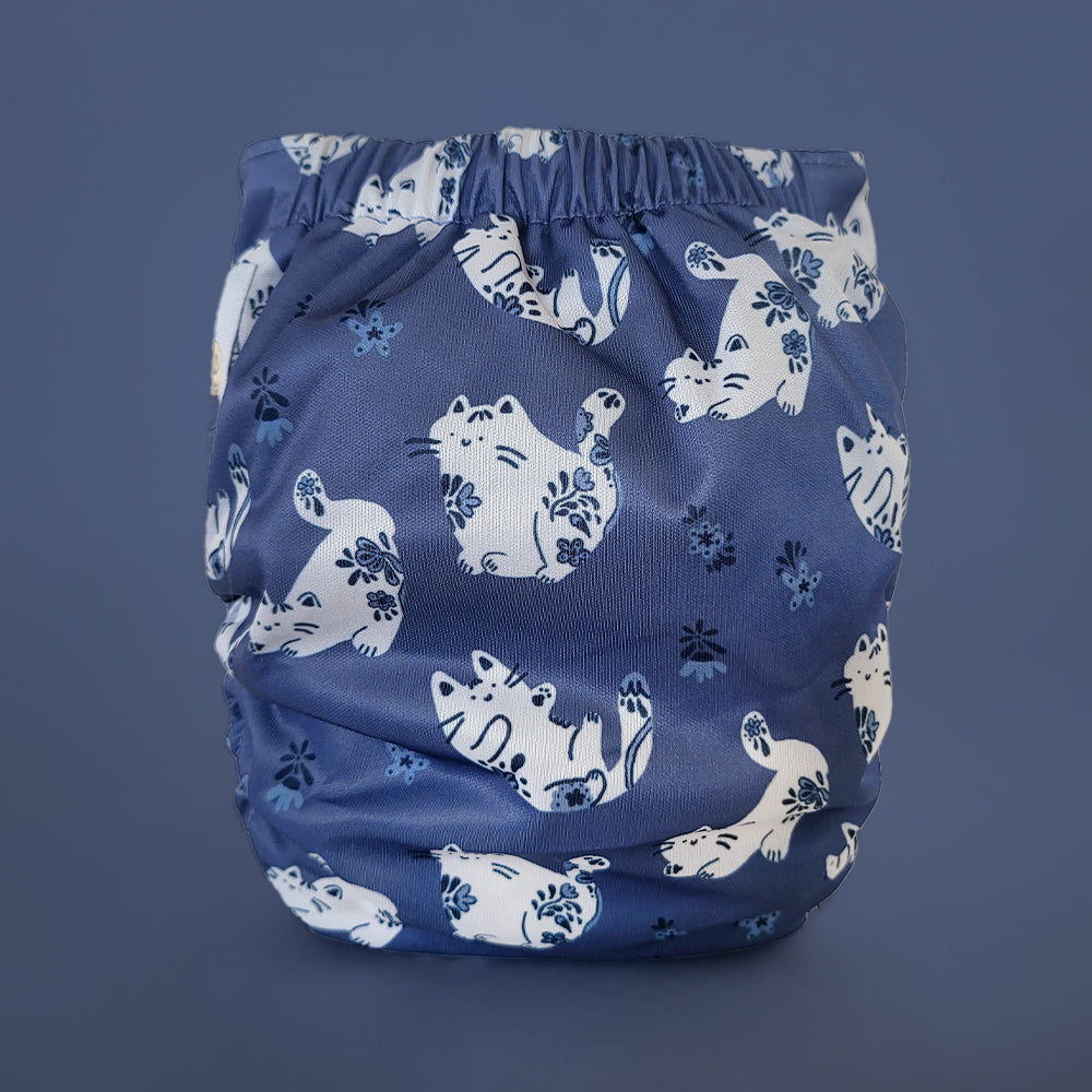Pocket diaper • Evolution