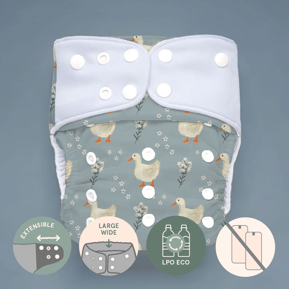 Pocket diaper • Evolution