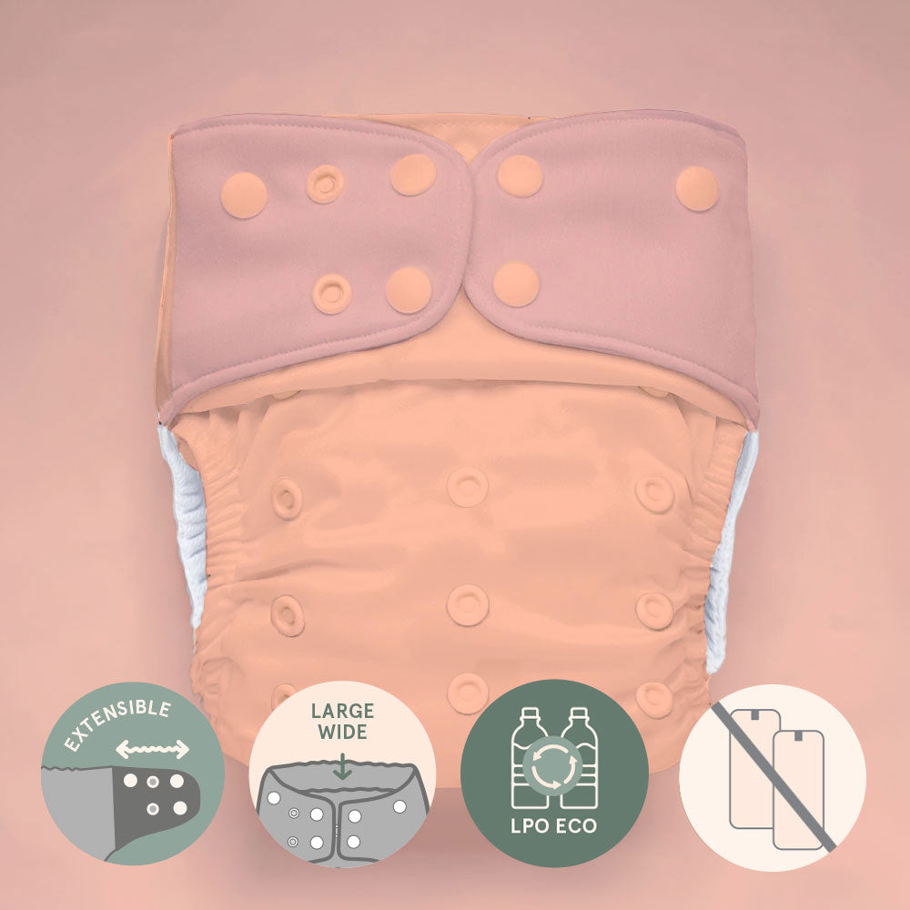 Pocket diaper • Evolution