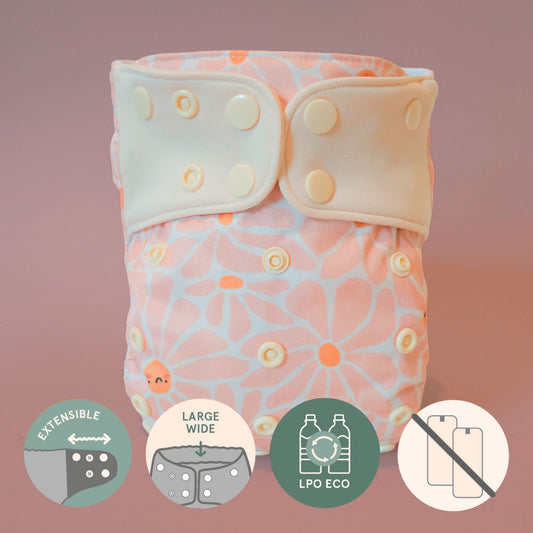 Couche à poche • Évolution