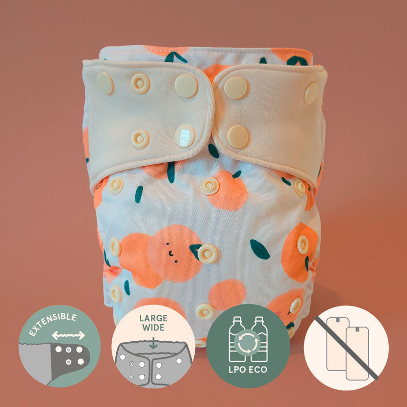 Pocket diaper • Evolution