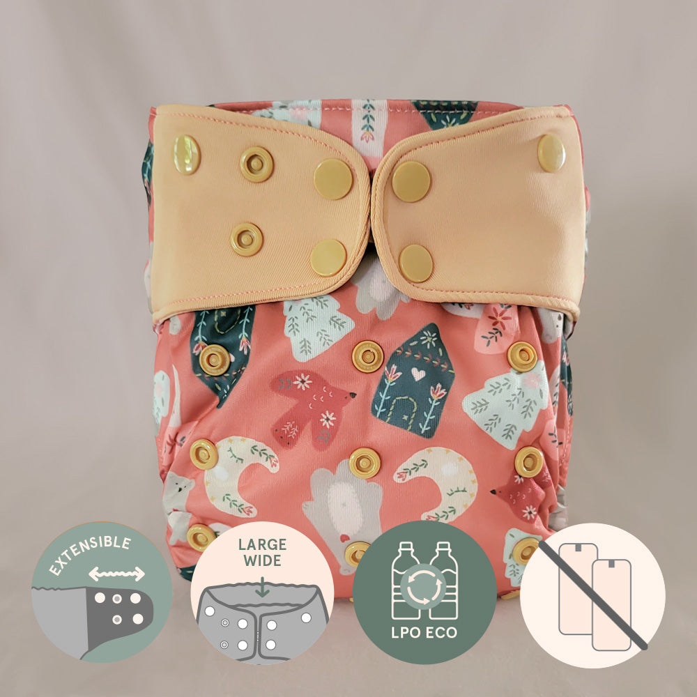 Pocket diaper • Evolution