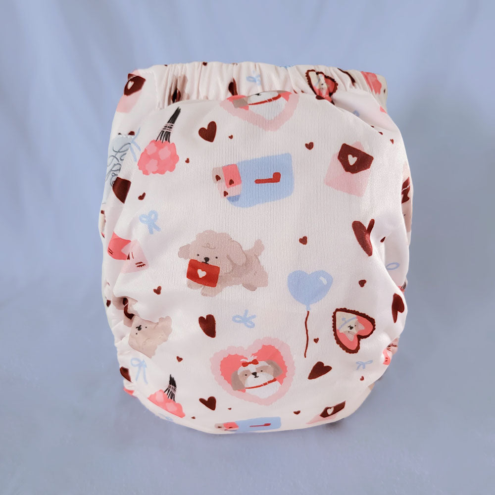 Pocket diaper • Evolution