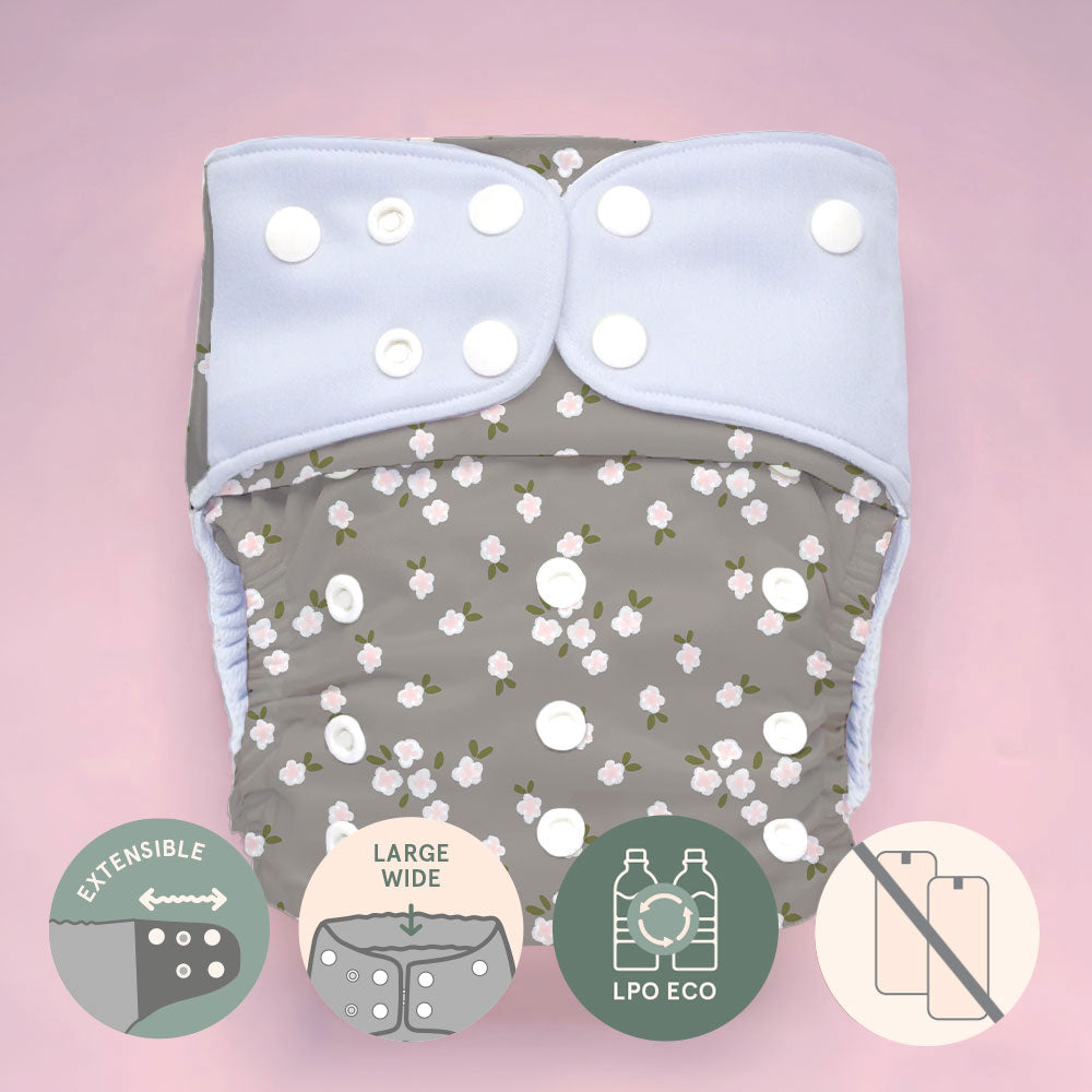 Pocket diaper • Evolution