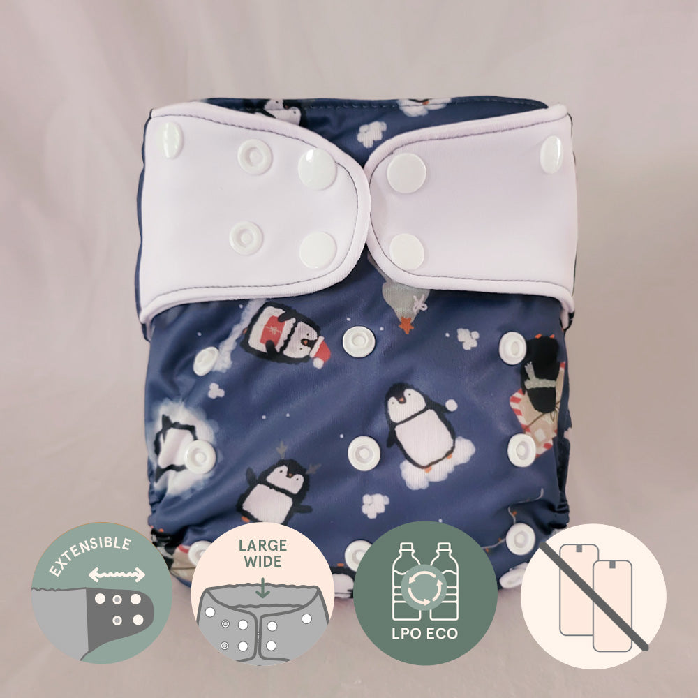 Couche à poche • Évolution