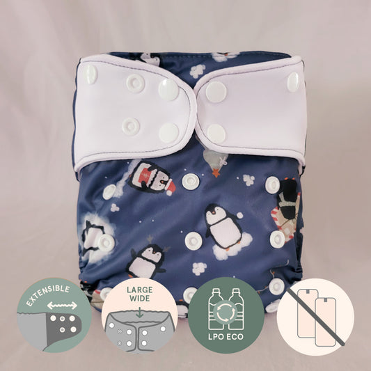 Couche à poche • Évolution