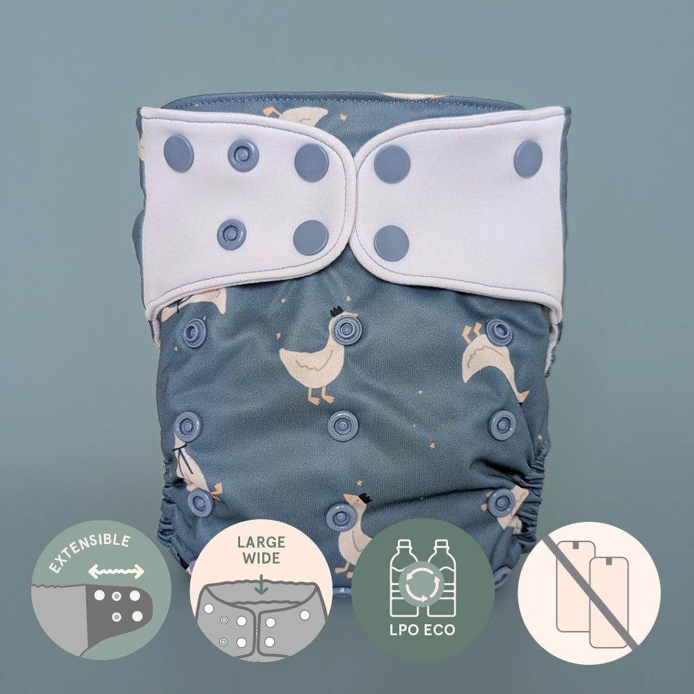 Pocket diaper • Evolution