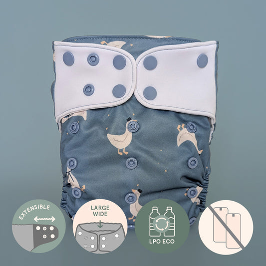 Couche à poche • Évolution