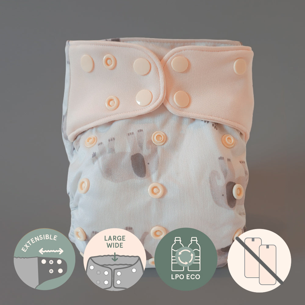 Pocket diaper • Evolution