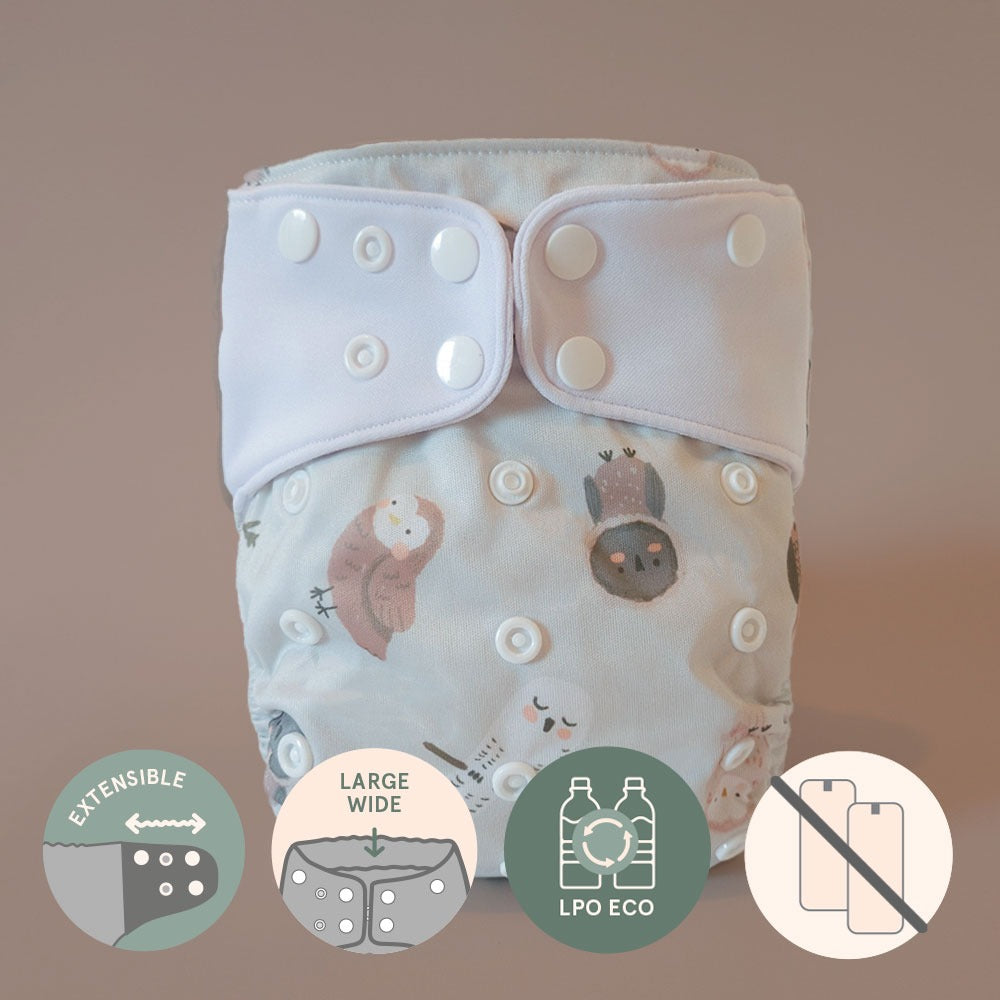 Pocket diaper • Evolution