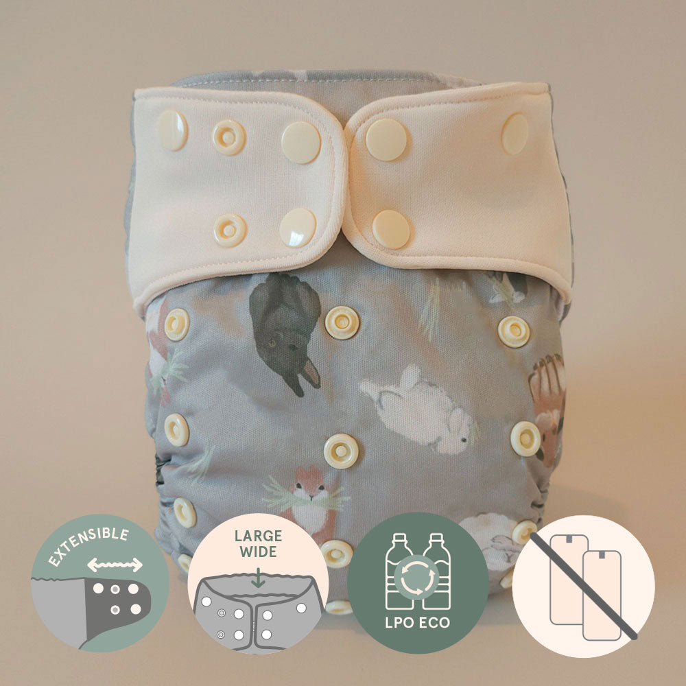 Pocket diaper • Evolution