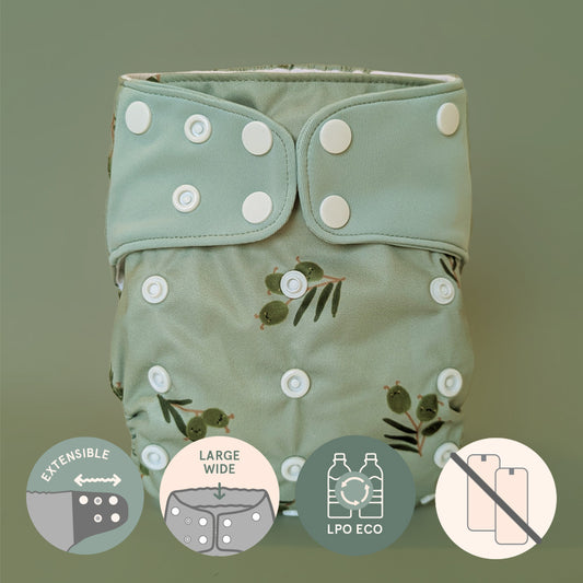 Couche à poche • Évolution