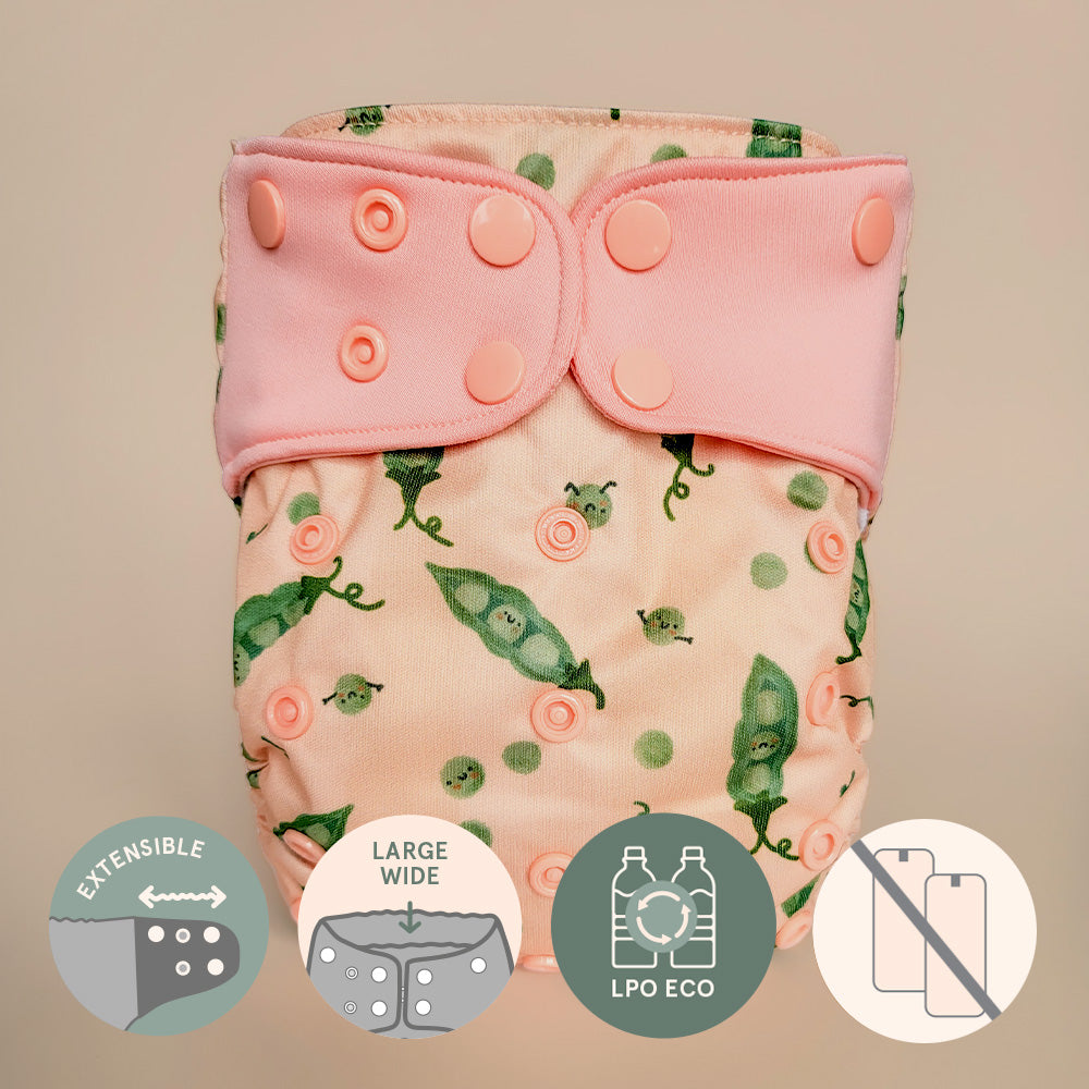 Pocket diaper • Evolution