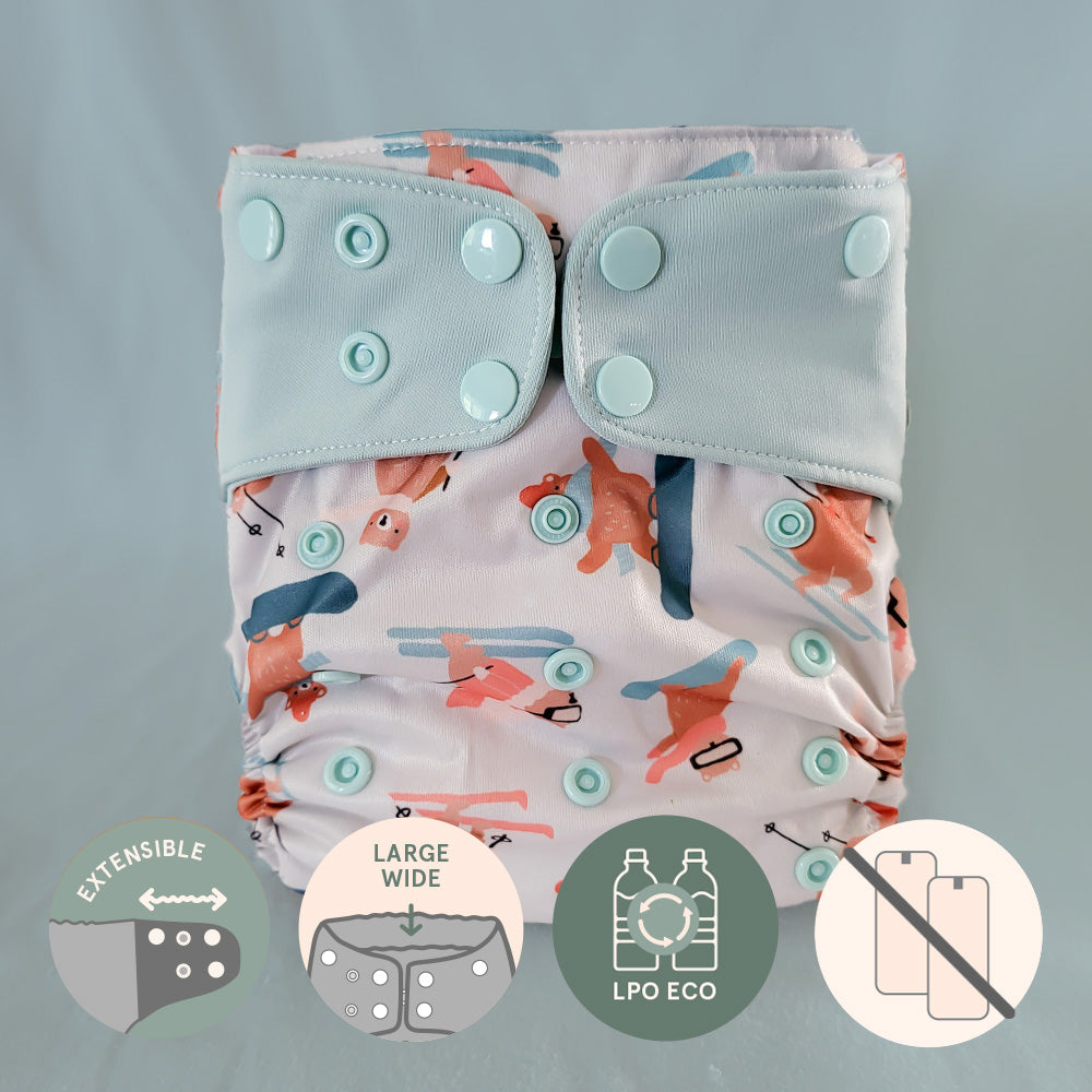 Couche à poche • Évolution